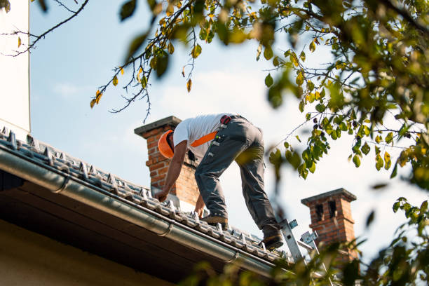 Quick and Trustworthy Emergency Roof Repair Services in Delshire, OH