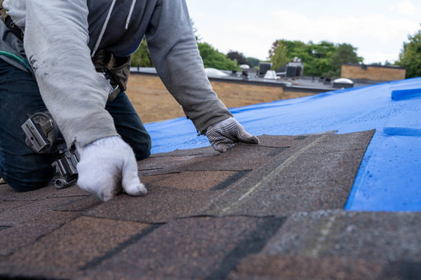 Best Best Roofing Contractors  in Delshire, OH