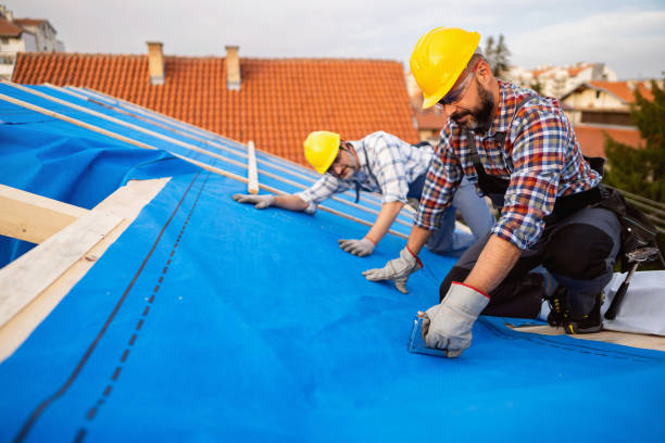 Best Residential Roofing Contractor  in Delshire, OH
