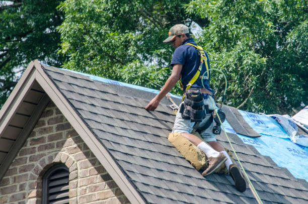 Best Commercial Roof Installation  in Delshire, OH