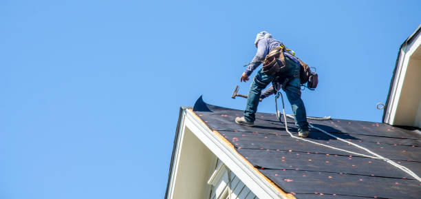 Best Roof Repair Services  in Delshire, OH